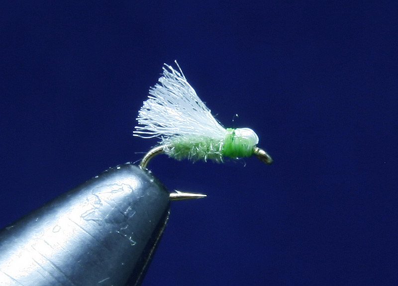Aphid step by step 2, step 5.